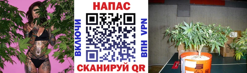 Кодеин Егорьевск