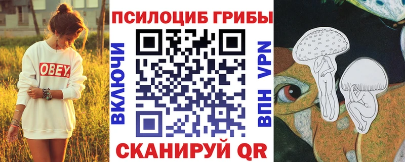 цены наркотик  Егорьевск  Псилоцибиновые грибы Cubensis 
